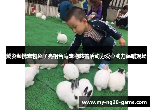 戴资颖携宠物兔子亮相台湾宠物慈善活动为爱心助力温暖现场 戴资颖携宠物兔子亮相台湾宠物慈善活动为爱心助力温暖现场