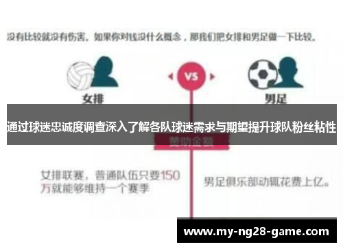 通过球迷忠诚度调查深入了解各队球迷需求与期望提升球队粉丝粘性